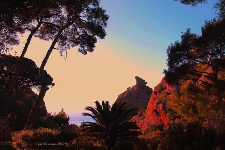Apartmán Le Cytharis La Ciotat Exteriér fotografie